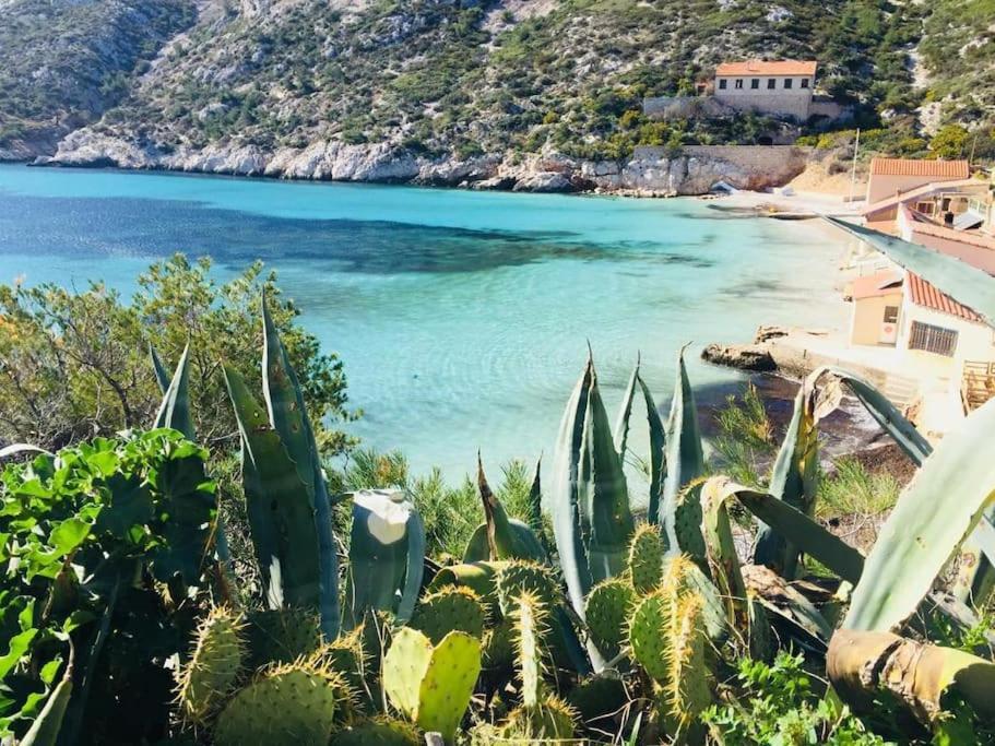 Appartement Le Panier Marsilya Dış mekan fotoğraf